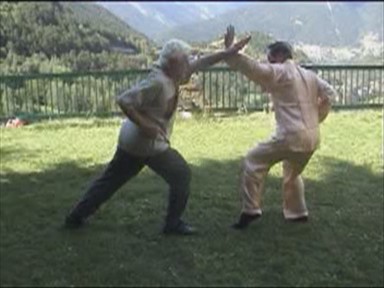 Shaolin Combat Sequences