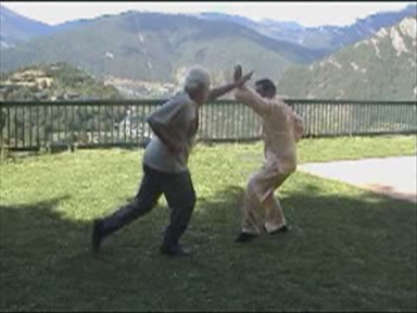 Shaolin Combat Sequences