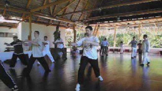 Fundamentals of Wahnam Taijiquan