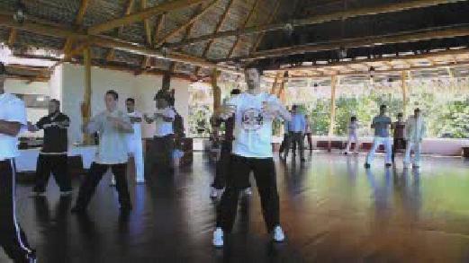 Fundamentals of Wahnam Taijiquan