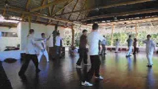 Fundamentals of Wahnam Taijiquan