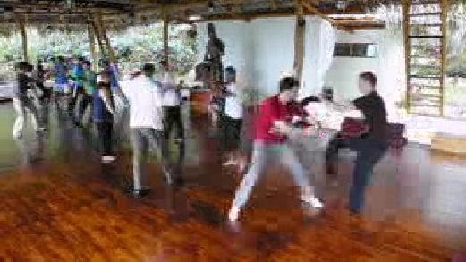 Taijiquan Free Sparring