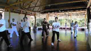 Wahnam Taijiquan, Tai Chi Chuan