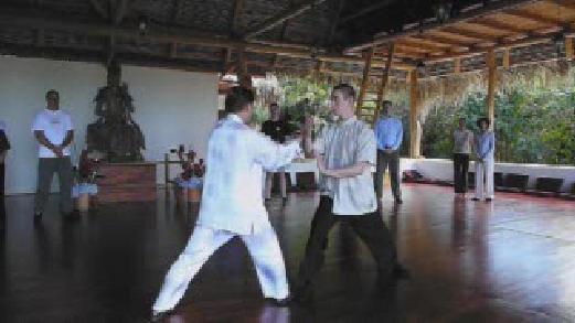 Fundamentals of Wahnam Taijiquan