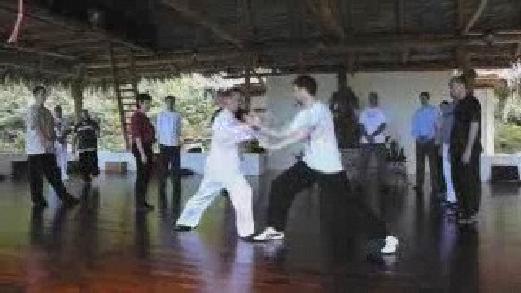 Fundamentals of Wahnam Taijiquan