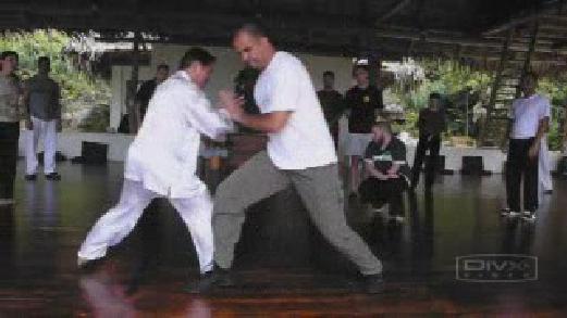 Fundamentals of Wahnam Taijiquan