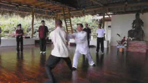 Fundamentals of Wahnam Taijiquan