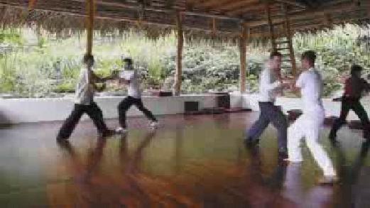 Fundamentals of Wahnam Taijiquan