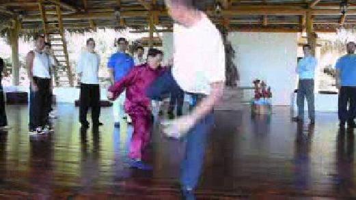 Fundamentals of Wahnam Taijiquan