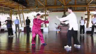 Wahnam Taijiquan