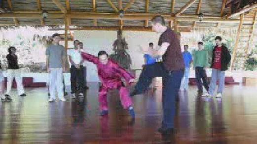 Wahnam Taijiquan, Tai Chi Chuan