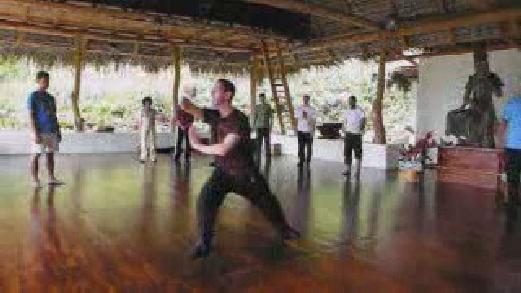 Wahnam Taijiquan