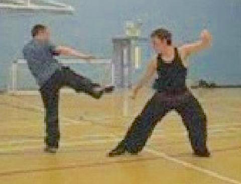 Taijiquan free sparring