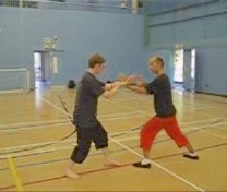 Taijiquan free sparring