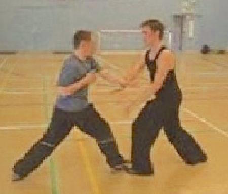 Taijiquan Sparring