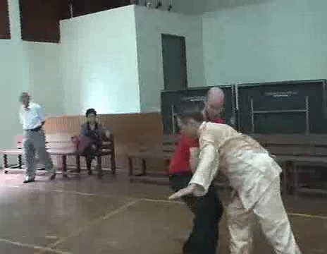 shaolin chin-na