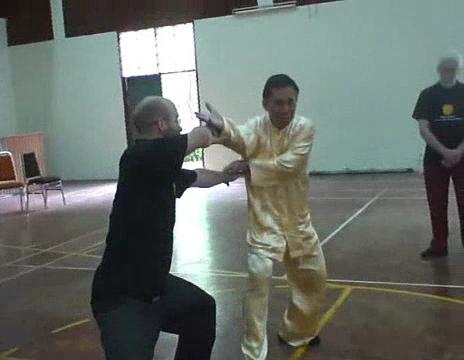 shaolin chin-na