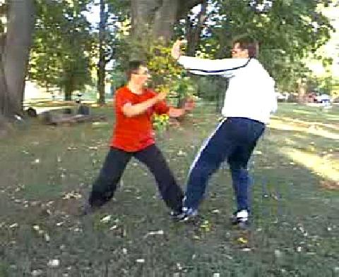 Shaolin Kungfu free sparring