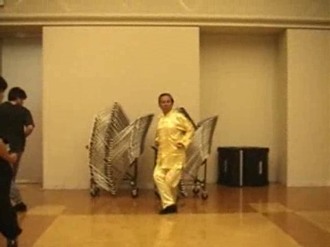 Shaolin Kung Fu