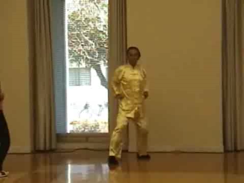 Shaolin Kung Fu