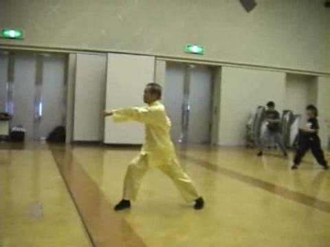 Shaolin Kung Fu