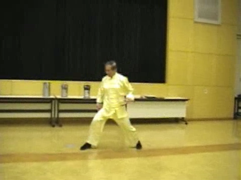 Shaolin Kung Fu