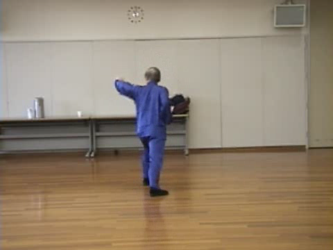 Shaolin Kung Fu