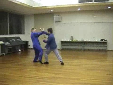 Shaolin Kung Fu