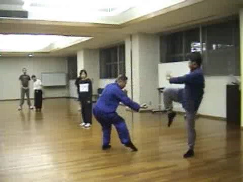 Shaolin Kung Fu