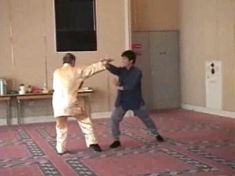 Shaolin Kung Fu