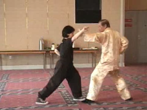 Shaolin Kung Fu