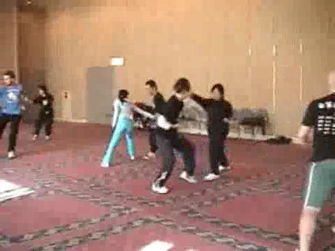 Shaolin Kung Fu