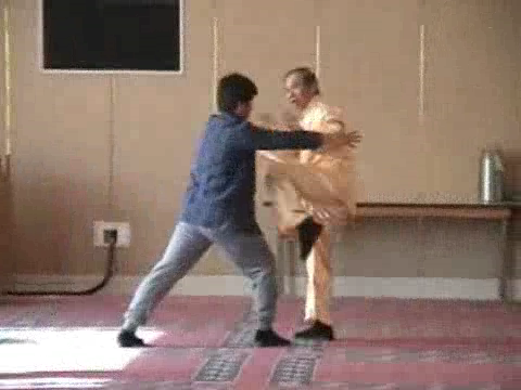 Shaolin combat sequences