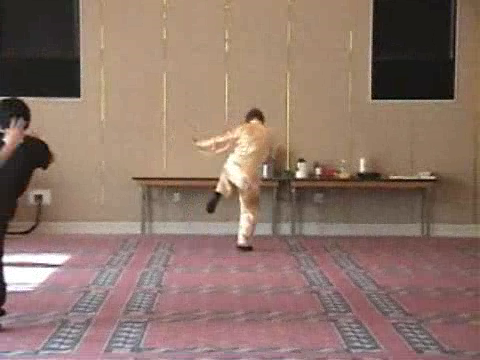 Shaolin Kung Fu