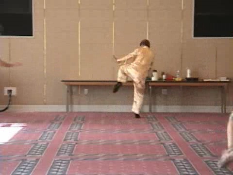 Shaolin Kung Fu