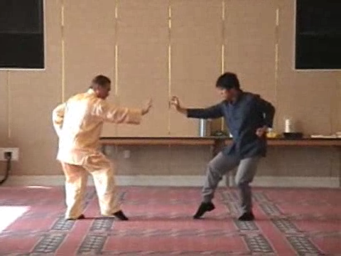 Shaolin Kung Fu