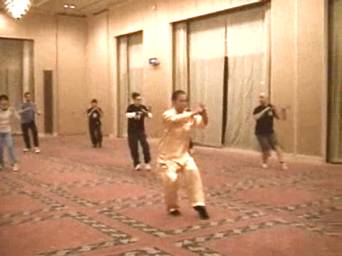 Shaolin combat sequences