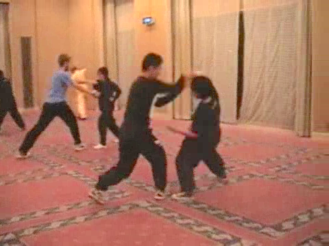 Shaolin Kung Fu