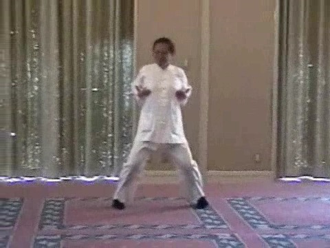 Wahnam Taijiquan