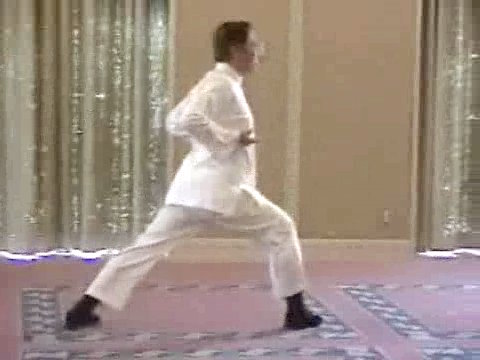 Wahnam Taijiquan