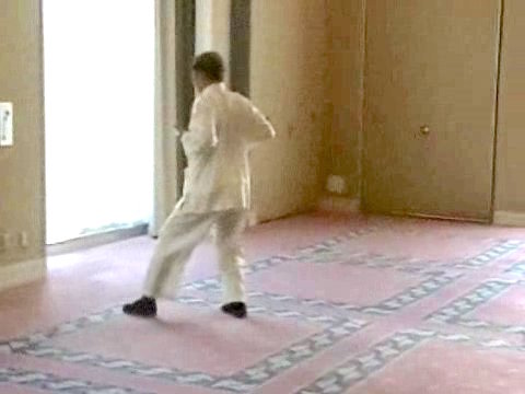 Wahnam Taijiquan