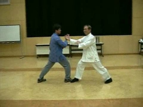 Wahnam Taijiquan