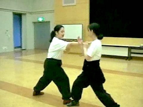 Wahnam Taijiquan