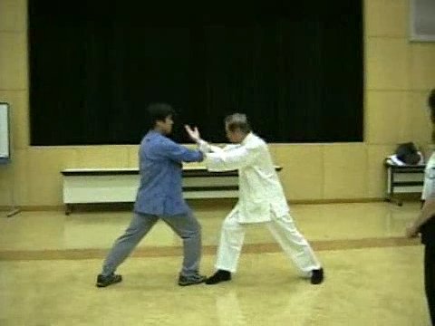 Wahnam Taijiquan