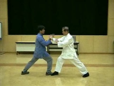 Wahnam Taijiquan