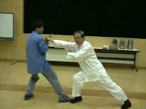 Wahnam Taijiquan