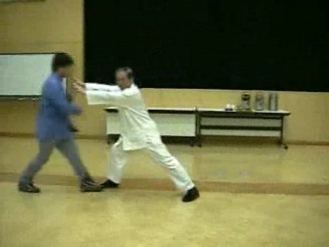 Wahnam Taijiquan