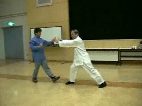 Wahnam Taijiquan