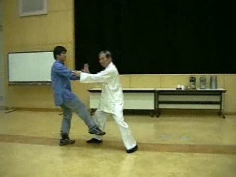 Wahnam Taijiquan