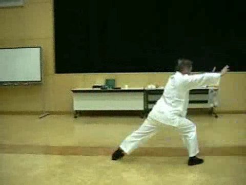 Wahnam Taijiquan